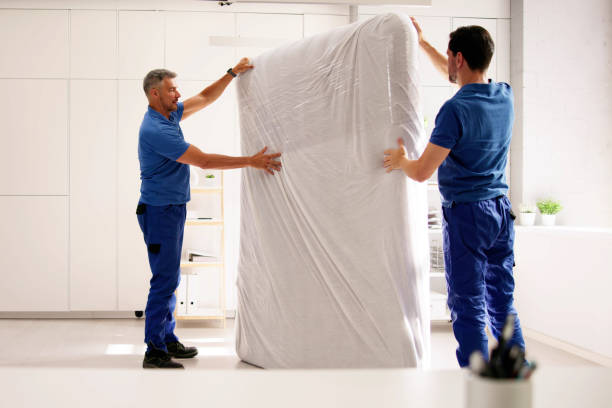 Istockphoto 2159561867 612x612