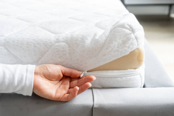 Istockphoto 2175433363 612x612